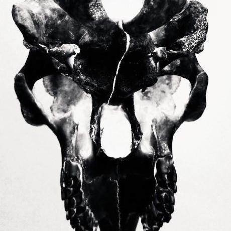 Releases Scobalula Greyhound Github - City Textures - Incredible 8K Collection