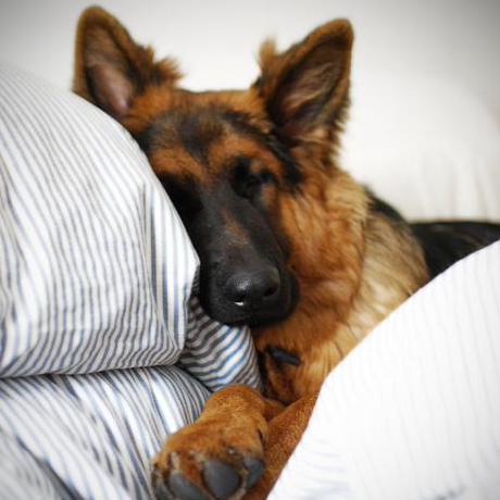 Manishpatil1899 Manish Patil Github - Best Minimal Backgrounds in Desktop