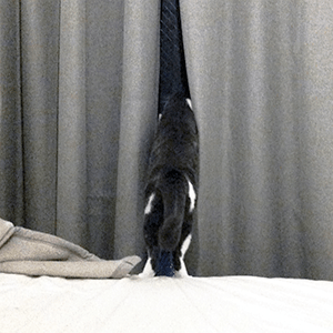 Maouxsaki Github - Sunset Wallpaper Collection - HD Quality