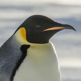 Donghwan Son Github - Creative HD Abstract Pictures | Free Download