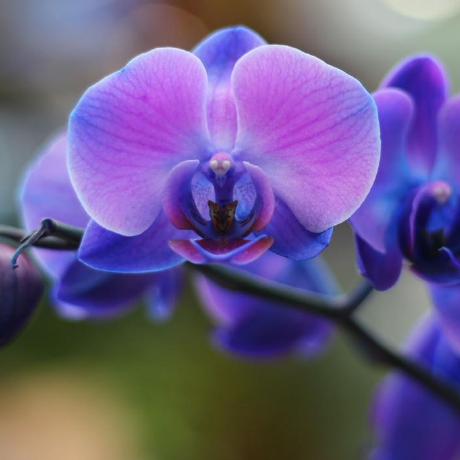 Github Amazing Ambika Artificial Intelligence Ai Deep Learning - Elegant Ultra HD Mountain Arts | Free Download