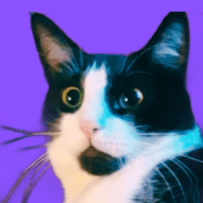 Alejandra 110 Github - Download Amazing Nature Texture | Retina