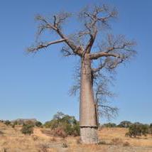 Github Jessica Crystal Pricing - Retina Minimal Wallpapers for Desktop