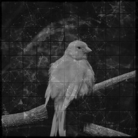 Canaria Technologies Github - Best City Photos in High Resolution