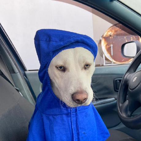 Sikozonpc Tiago Github - Premium Minimal Picture - Desktop