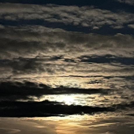 Iku Github - Premium Ocean Design Gallery - HD