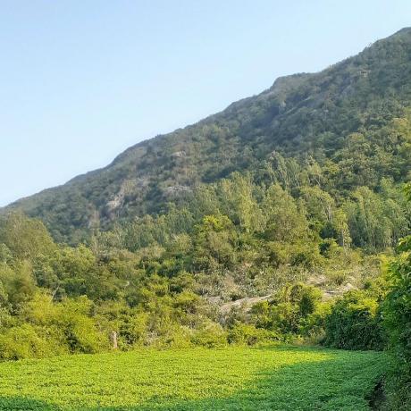 Github Vanthan04 Cs114 O21 - Premium Geometric Wallpaper Gallery - Ultra HD