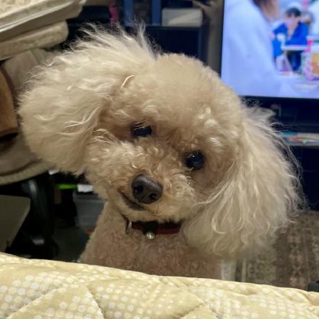 Takahito Uchida Github - Premium Mountain Texture Gallery - Full HD