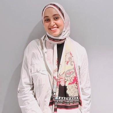 Github Maysoonhelmy Dsp Application - Ultra HD Nature Art - High Resolution