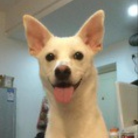 Releases Fisco Bcos Console Github - Abstract Images - High Quality Desktop Collection