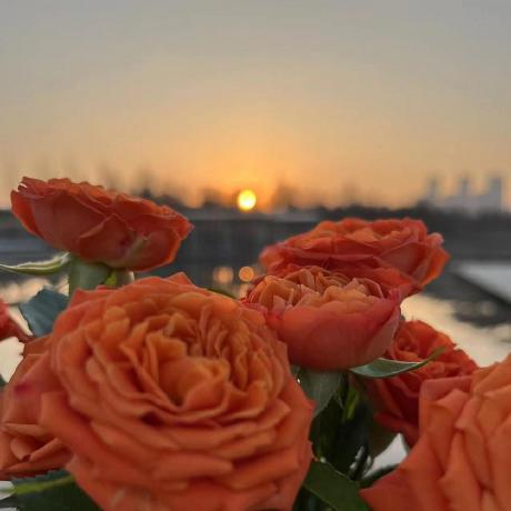 Myl980 Myl Github - Premium Landscape Background Gallery - High Resolution