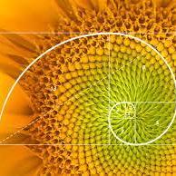 Firas Hammouda Firas Hammouda Github - Premium Geometric Art Gallery - Ultra HD