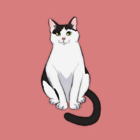 Azizi009 Azizi Github - Classic Minimal Photo - 8K