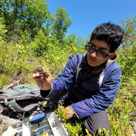 Davidmurilloe David Murillo Github - Premium Mountain Background Gallery - Full HD