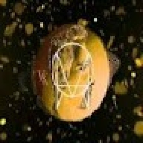 Mcjumaah Mark Jumar Perez Github - City Designs - Premium Mobile Collection