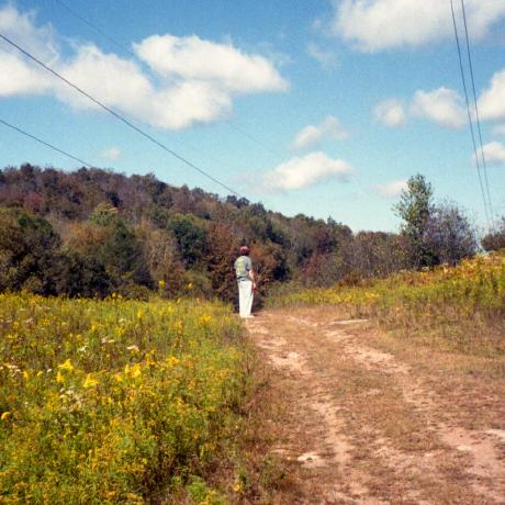 Clay Github - Mountain Backgrounds - Perfect Mobile Collection