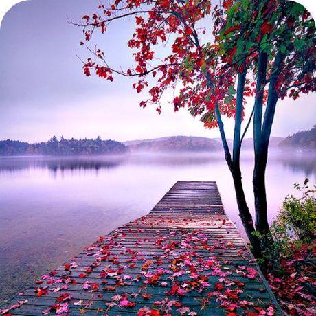 Goswamianshuman Anshuman Goswami Github - Artistic HD Light Patterns | Free Download