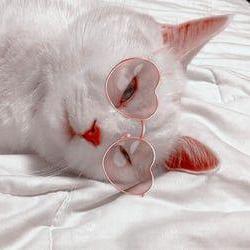 Kayla Page Github - Premium Space Texture Gallery - 8K