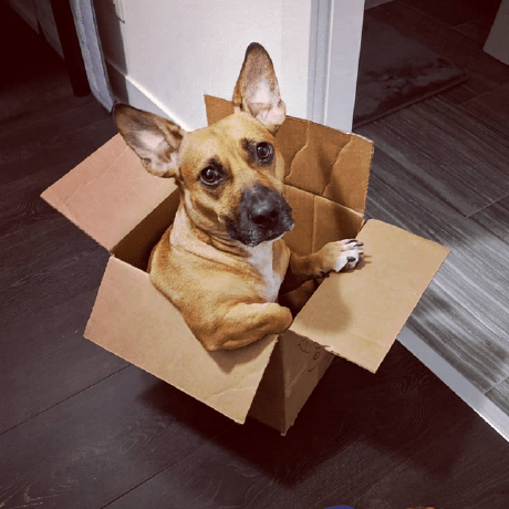 Thom Tran Github - Nature Photo Collection - Ultra HD Quality