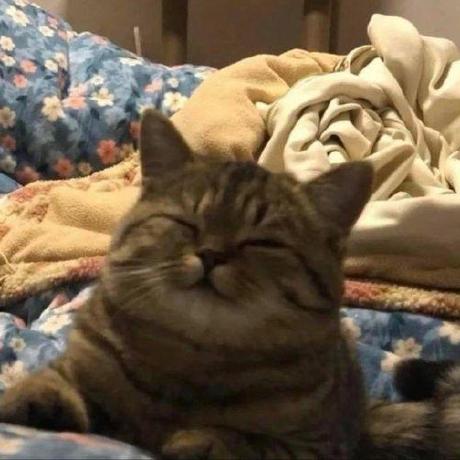 Github Yuliagustus Proyek Front End - Premium City Photo Gallery - Full HD