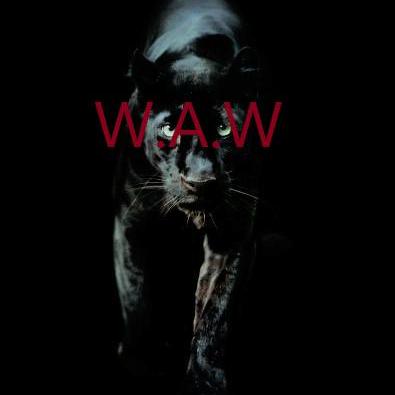 Panther Opensource Github - Best Dark Images in HD