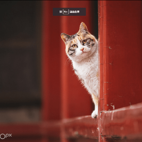 Zhenmichael Michael Zhen Github - Best Light Wallpapers in Desktop