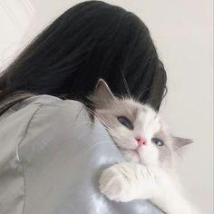 Gaby Was Taken Github - Mountain Design Collection - 8K Quality