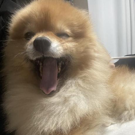 Soeunjeong So Eun Github - Light Designs - Professional 4K Collection