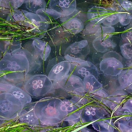 Github Chleb420 Pl Github Pages - Download Elegant Sunset Art | Ultra HD