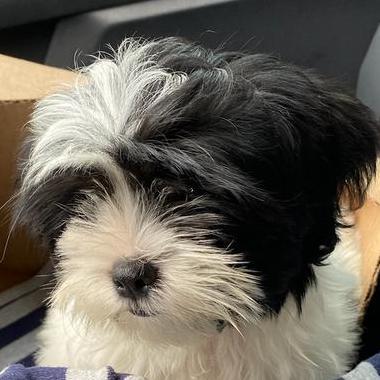 Yyyasha47 Yasha Github - Premium Mobile Colorful Textures | Free Download