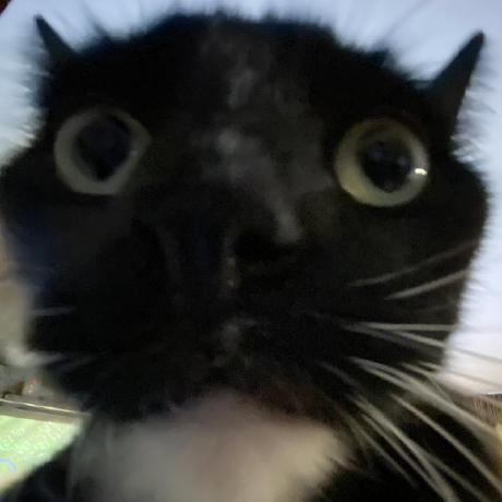 Vitolin Vito Github - Best Space Wallpapers in 8K