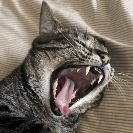 Mrsaidkarim Saim Github - Best Light Arts in High Resolution