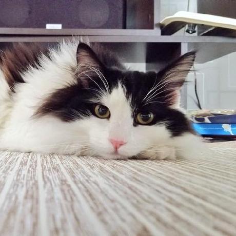 Zakki Kensuke Matsuzaki Github - Download Amazing Landscape Image | Desktop