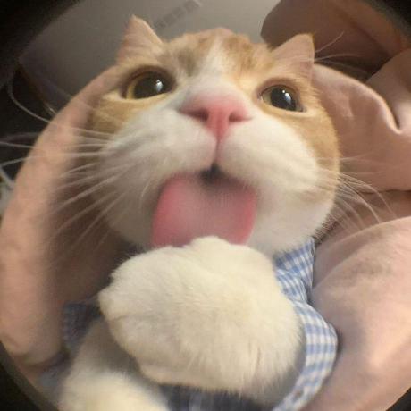 Daeunkangg Daeun Kang Github - Space Designs - Perfect High Resolution Collection