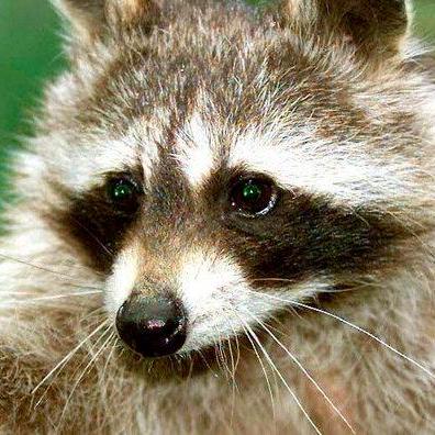 Github 7evenstudios 7even Identity - Dark Wallpaper Collection - Ultra HD Quality