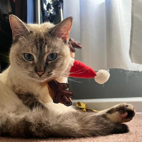 Ivanrivasgr Iv N Rivas Github - Gorgeous High Resolution Vintage Images | Free Download