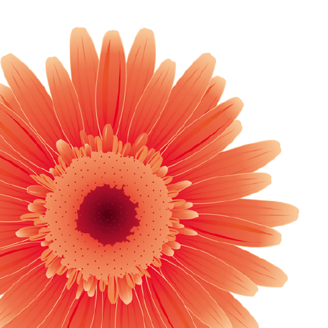 R Shibata 0325 Github - City Pattern Collection - 4K Quality