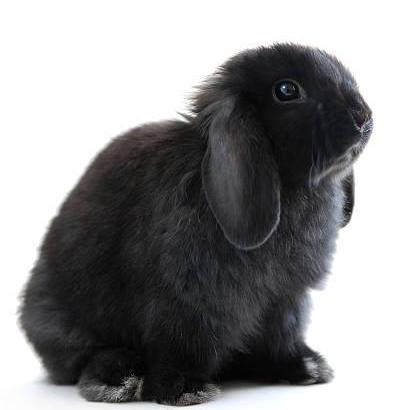 Numble Nicednb Challenge Github - Download Classic Geometric Illustration | Desktop