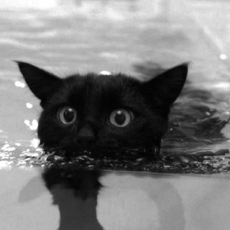 Github Tianyu Z Video2frames The Incentive To Make This Script Is To - Mobile Minimal Images for Desktop