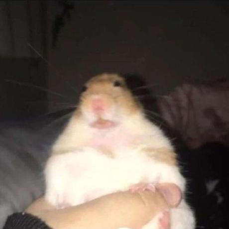 Puneetsonii Punit Github - Download Amazing Light Texture | 4K