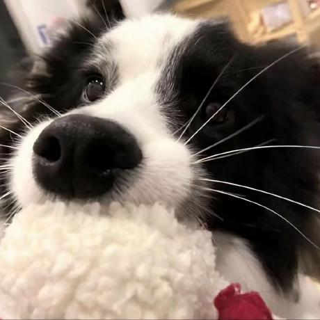 Echo 3ck0 Ekko Github - Ultra HD High Resolution Ocean Patterns | Free Download