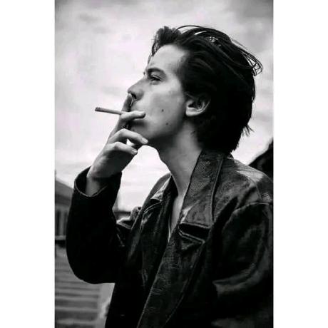 Rsa Programer Rsa Programer Github - Retina Mountain Arts for Desktop