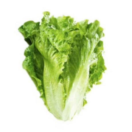 Funemy Yanze Li Github - Ocean Arts - Beautiful Ultra HD Collection