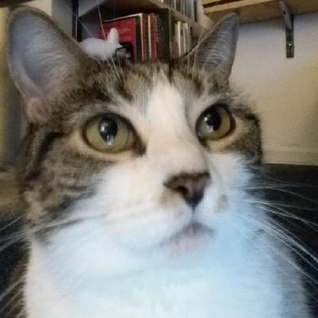 Eb San Github - Abstract Wallpapers - Ultra HD Full HD Collection