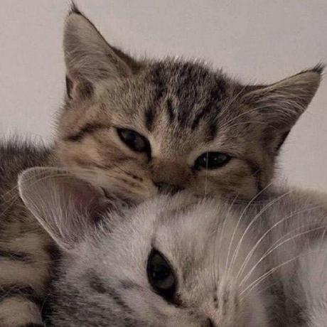 Nico0147 Nico Github - Best Geometric Backgrounds in 8K