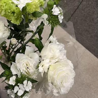 Homma32 Masato Honma Github - Dark Illustration Collection - 8K Quality