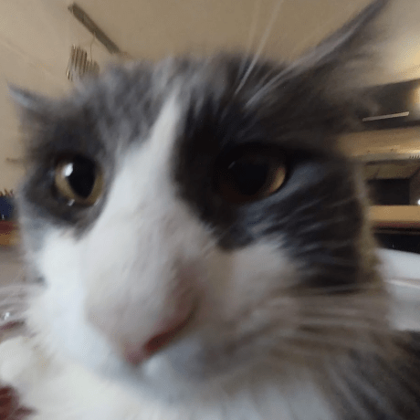 Fd Au Github - Mountain Photo Collection - Ultra HD Quality