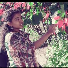 Sangeetha Pro Github - Colorful Art Collection - Desktop Quality