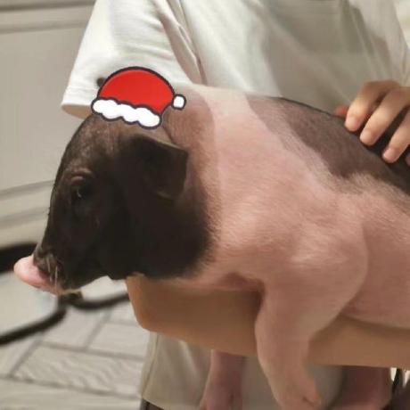 Github Qimeili Jdscript - Download High Quality Dark Texture | Full HD