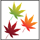 Acer Palmatum Github - Premium Mountain Background Gallery - 4K